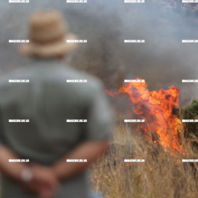 ΦΩΤΙΑ ΣΤΙΣ ΜΑΛΑΔΕΣ