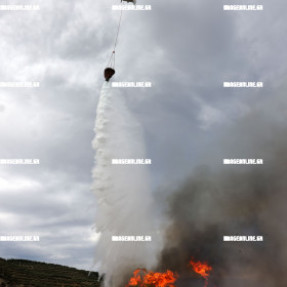 ΦΩΤΙΑ ΣΤΙΣ ΜΑΛΑΔΕΣ