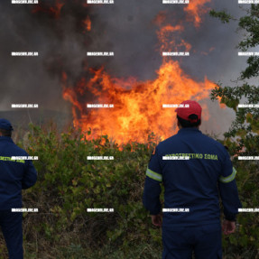 ΦΩΤΙΑ ΣΤΙΣ ΜΑΛΑΔΕΣ