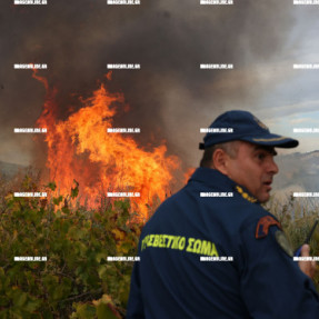 ΦΩΤΙΑ ΣΤΙΣ ΜΑΛΑΔΕΣ