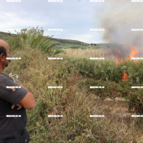 ΦΩΤΙΑ ΣΤΙΣ ΜΑΛΑΔΕΣ