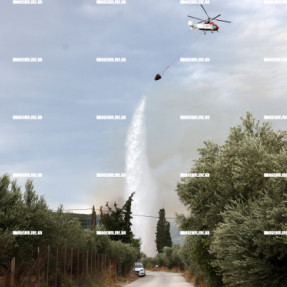 ΦΩΤΙΑ ΣΤΙΣ ΜΑΛΑΔΕΣ