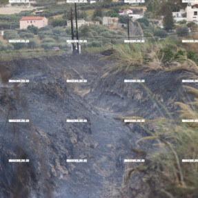 ΦΩΤΙΑ ΣΤΙΣ ΜΑΛΑΔΕΣ