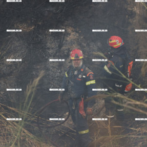 ΦΩΤΙΑ ΣΤΙΣ ΜΑΛΑΔΕΣ