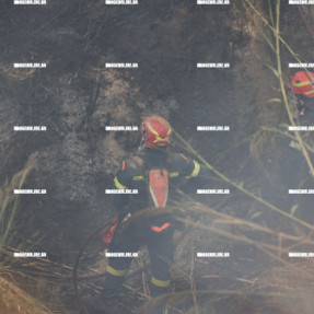 ΦΩΤΙΑ ΣΤΙΣ ΜΑΛΑΔΕΣ