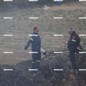 ΦΩΤΙΑ ΣΤΙΣ ΜΑΛΑΔΕΣ