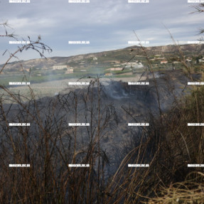 ΦΩΤΙΑ ΣΤΙΣ ΜΑΛΑΔΕΣ