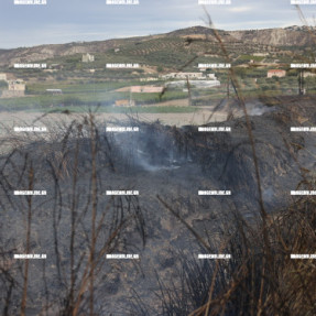 ΦΩΤΙΑ ΣΤΙΣ ΜΑΛΑΔΕΣ