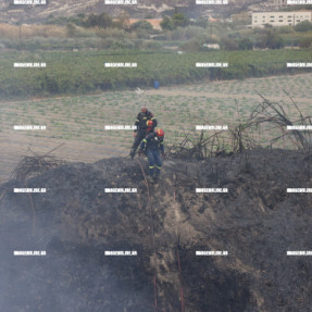 ΦΩΤΙΑ ΣΤΙΣ ΜΑΛΑΔΕΣ