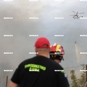 ΦΩΤΙΑ ΣΤΙΣ ΜΑΛΑΔΕΣ