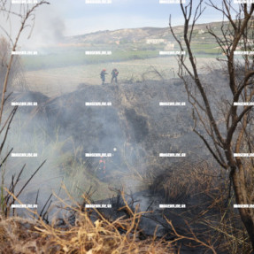 ΦΩΤΙΑ ΣΤΙΣ ΜΑΛΑΔΕΣ