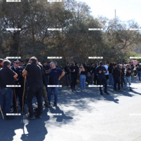 ΔΙΑΜΑΡΤΥΡΙΑ ΚΤΗΝΟΤΡΟΦΩΝ ΣΤΟΝ ΚΑΡΤΕΡΟ