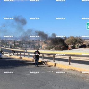 ΕΛΆΧΙΣΤΟΙ ΚΤΗΝΟΤΡΌΦΟΙ ΠΑΡΑΜΈΝΟΥΝ ΣΤΟ ΚΤΕΟ