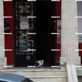 ΑΝΑΚΑΤΑΛΗΨΗ ΑΤΟ ΕΥΑΓΓΕΛΙΣΜΌ ΑΠΌ ΤΗΝ ΑΣΤΥΝΟΜΙΑ