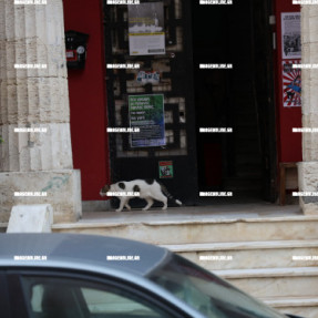 ΑΝΑΚΑΤΑΛΗΨΗ ΑΤΟ ΕΥΑΓΓΕΛΙΣΜΌ ΑΠΌ ΤΗΝ ΑΣΤΥΝΟΜΙΑ