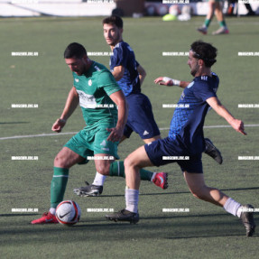 ΠΟΑ - ΣΑΛΑΜΙΝΑ