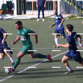 ΠΟΑ - ΣΑΛΑΜΙΝΑ