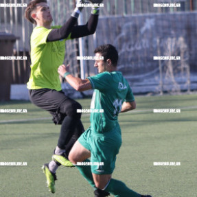 ΠΟΑ - ΣΑΛΑΜΙΝΑ