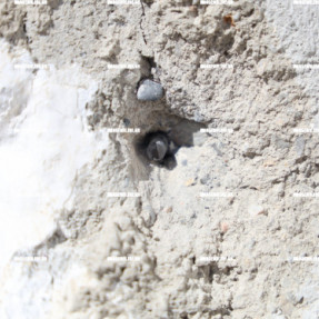 ΜΕΤΡΑ ΑΣΦΑΛΕΙΑΣ ΓΙΑ ΤΗΝ ΚΗΔΕΙΑ ΤΟΥ 39 ΧΡΟΝΟΥ ΑΠΟ ΤΑ ΒΟΡΙΖΙΑ