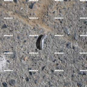 ΜΕΤΡΑ ΑΣΦΑΛΕΙΑΣ ΓΙΑ ΤΗΝ ΚΗΔΕΙΑ ΤΟΥ 39 ΧΡΟΝΟΥ ΑΠΟ ΤΑ ΒΟΡΙΖΙΑ