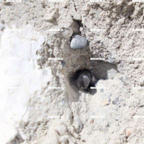 ΚΗΔΕΊΑ ΦΑΝΟΥΡΗ ΚΑΡΓΑΚΗ ΣΤΑ ΒΟΡΙΖΙΑ