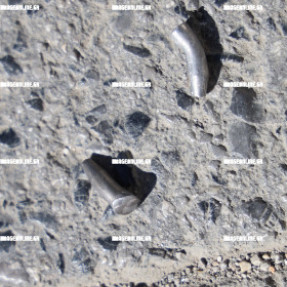 ΚΗΔΕΊΑ ΦΑΝΟΥΡΗ ΚΑΡΓΑΚΗ ΣΤΑ ΒΟΡΙΖΙΑ