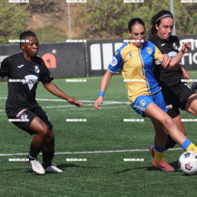 ΟΦΗ ΑΣΤΕΡΑΣ ΤΡΊΠΟΛΗΣ ΓΥΝΑΙΚΕΣ