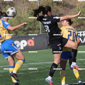 ΟΦΗ ΑΣΤΕΡΑΣ ΤΡΊΠΟΛΗΣ ΓΥΝΑΙΚΕΣ