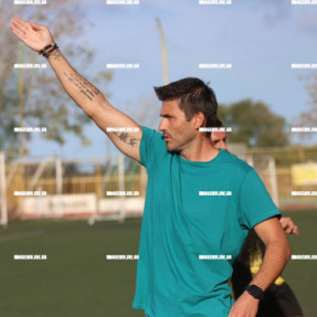 ΕΡΓΟΤΕΛΗΣ ΜΟΧΟΣ