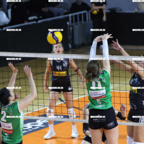 ΟΦΗ - ΑΜΠΕΛΟΚΗΠΟΙ