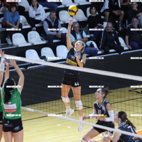 ΟΦΗ - ΑΜΠΕΛΟΚΗΠΟΙ