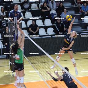 ΟΦΗ - ΑΜΠΕΛΟΚΗΠΟΙ