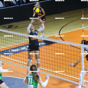 ΟΦΗ - ΑΜΠΕΛΟΚΗΠΟΙ