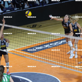 ΟΦΗ - ΑΜΠΕΛΟΚΗΠΟΙ