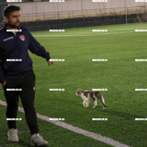 ΟΦΗ ΒΟΛΟΣ ΓΥΝΑΙΚΕΣ