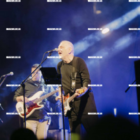 ΦΩΤΑΓΩΓΗΣΗ ΧΡΙΣΤΟΥΓΕΝΝΙΑΤΙΚΟΥ ΔΕΝΤΡΟΥ ΣΤΗΝ ΠΛΑΤΕΙΑ ΕΛΕΥΘΕΡΙΑΣ