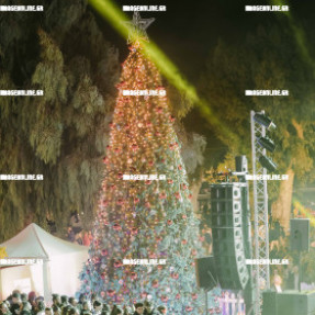 ΦΩΤΑΓΩΓΗΣΗ ΧΡΙΣΤΟΥΓΕΝΝΙΑΤΙΚΟΥ ΔΕΝΤΡΟΥ ΣΤΗΝ ΠΛΑΤΕΙΑ ΕΛΕΥΘΕΡΙΑΣ