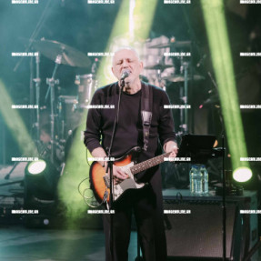 ΦΩΤΑΓΩΓΗΣΗ ΧΡΙΣΤΟΥΓΕΝΝΙΑΤΙΚΟΥ ΔΕΝΤΡΟΥ ΣΤΗΝ ΠΛΑΤΕΙΑ ΕΛΕΥΘΕΡΙΑΣ