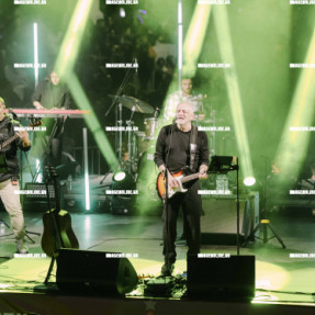 ΦΩΤΑΓΩΓΗΣΗ ΧΡΙΣΤΟΥΓΕΝΝΙΑΤΙΚΟΥ ΔΕΝΤΡΟΥ ΣΤΗΝ ΠΛΑΤΕΙΑ ΕΛΕΥΘΕΡΙΑΣ