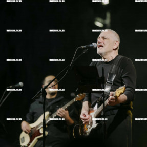 ΦΩΤΑΓΩΓΗΣΗ ΧΡΙΣΤΟΥΓΕΝΝΙΑΤΙΚΟΥ ΔΕΝΤΡΟΥ ΣΤΗΝ ΠΛΑΤΕΙΑ ΕΛΕΥΘΕΡΙΑΣ