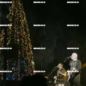 ΦΩΤΑΓΩΓΗΣΗ ΧΡΙΣΤΟΥΓΕΝΝΙΑΤΙΚΟΥ ΔΕΝΤΡΟΥ ΣΤΗΝ ΠΛΑΤΕΙΑ ΕΛΕΥΘΕΡΙΑΣ