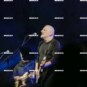 ΦΩΤΑΓΩΓΗΣΗ ΧΡΙΣΤΟΥΓΕΝΝΙΑΤΙΚΟΥ ΔΕΝΤΡΟΥ ΣΤΗΝ ΠΛΑΤΕΙΑ ΕΛΕΥΘΕΡΙΑΣ