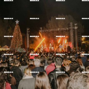 ΦΩΤΑΓΩΓΗΣΗ ΧΡΙΣΤΟΥΓΕΝΝΙΑΤΙΚΟΥ ΔΕΝΤΡΟΥ ΣΤΗΝ ΠΛΑΤΕΙΑ ΕΛΕΥΘΕΡΙΑΣ