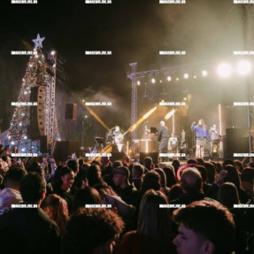 ΦΩΤΑΓΩΓΗΣΗ ΧΡΙΣΤΟΥΓΕΝΝΙΑΤΙΚΟΥ ΔΕΝΤΡΟΥ ΣΤΗΝ ΠΛΑΤΕΙΑ ΕΛΕΥΘΕΡΙΑΣ