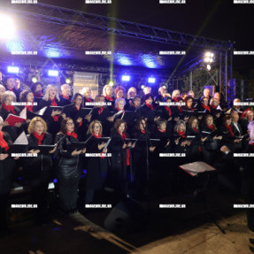 ΦΩΤΑΓΩΓΗΣΗ ΤΟΥ ΧΡΙΣΤΟΥΓΕΝΝΙΑΤΙΚΟΥ ΔΕΝΤΡΟΥ ΣΤΟ ΓΑΖΙ