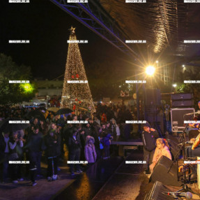 ΦΩΤΑΓΩΓΗΣΗ ΤΟΥ ΧΡΙΣΤΟΥΓΕΝΝΙΑΤΙΚΟΥ ΔΕΝΤΡΟΥ ΣΤΟ ΓΑΖΙ