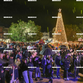 ΦΩΤΑΓΩΓΗΣΗ ΤΟΥ ΧΡΙΣΤΟΥΓΕΝΝΙΑΤΙΚΟΥ ΔΕΝΤΡΟΥ ΣΤΟ ΓΑΖΙ