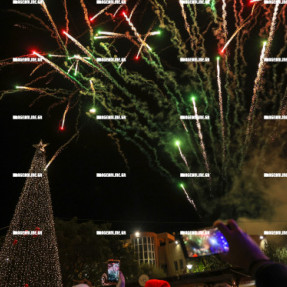 ΦΩΤΑΓΩΓΗΣΗ ΤΟΥ ΧΡΙΣΤΟΥΓΕΝΝΙΑΤΙΚΟΥ ΔΕΝΤΡΟΥ ΣΤΟ ΓΑΖΙ