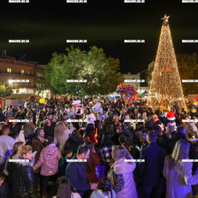ΦΩΤΑΓΩΓΗΣΗ ΤΟΥ ΧΡΙΣΤΟΥΓΕΝΝΙΑΤΙΚΟΥ ΔΕΝΤΡΟΥ ΣΤΟ ΓΑΖΙ
