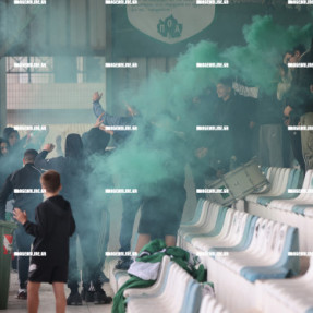 ΠΟΑ - ΘΥΕΛΛΑ ΡΑΦΗΝΑΣ